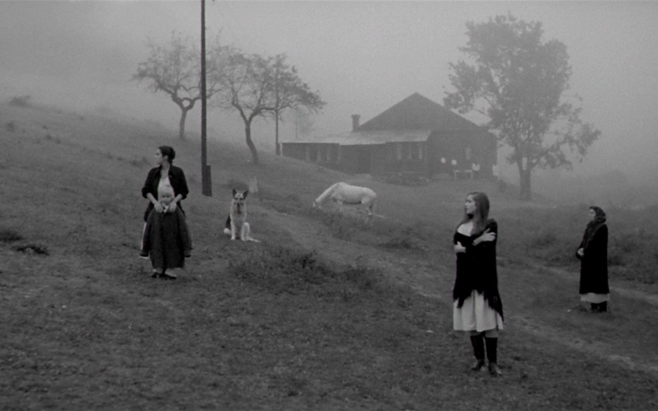 “Nostalghia” by Tarkowski: Abolishing borders, returning to roots, Faith is the only salvation in the nothingness of doom